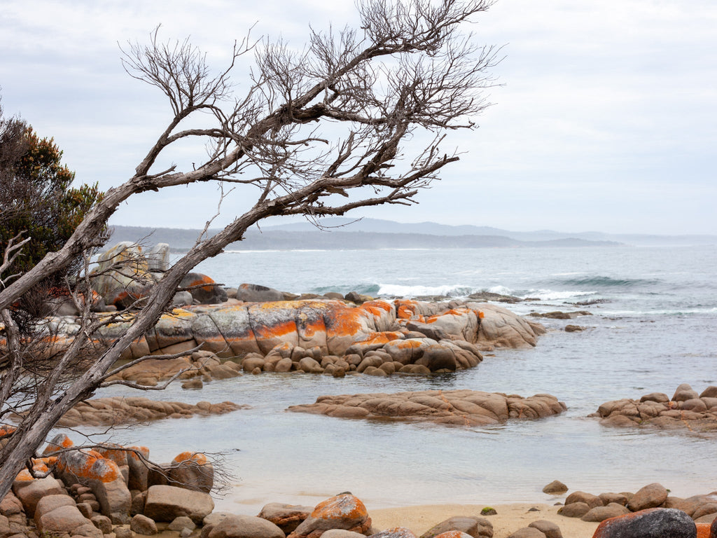 What happens when a knitwear designer travels around Tasmania?