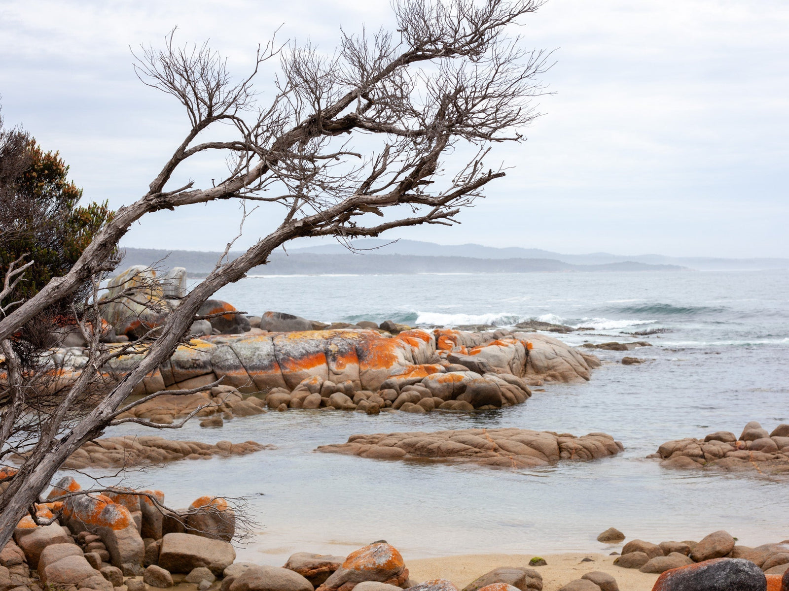 What happens when a knitwear designer travels around Tasmania?