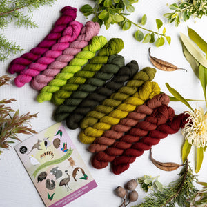 Louie & Lola Yarns Advent Calendar 'An Aussie 12 Days of Christmas' Advent - Tarkine Wrap - Yarn Kit