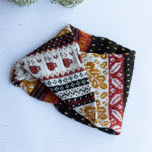 Louie & Lola Yarns BFL DK - Autumn Mini Skein Set