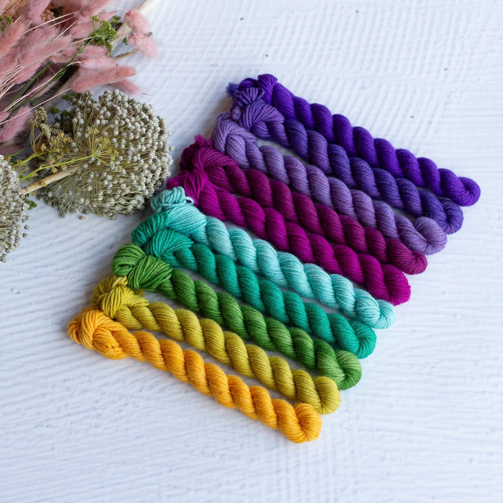 Louie & Lola Yarns BFL DK - Botanical Mini Skein Set