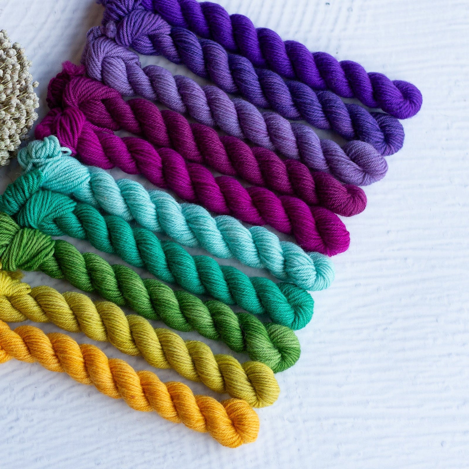 Louie & Lola Yarns BFL DK - Botanical Mini Skein Set