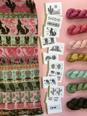 Louie & Lola Yarns BFL DK - Desert Mini Skein Set