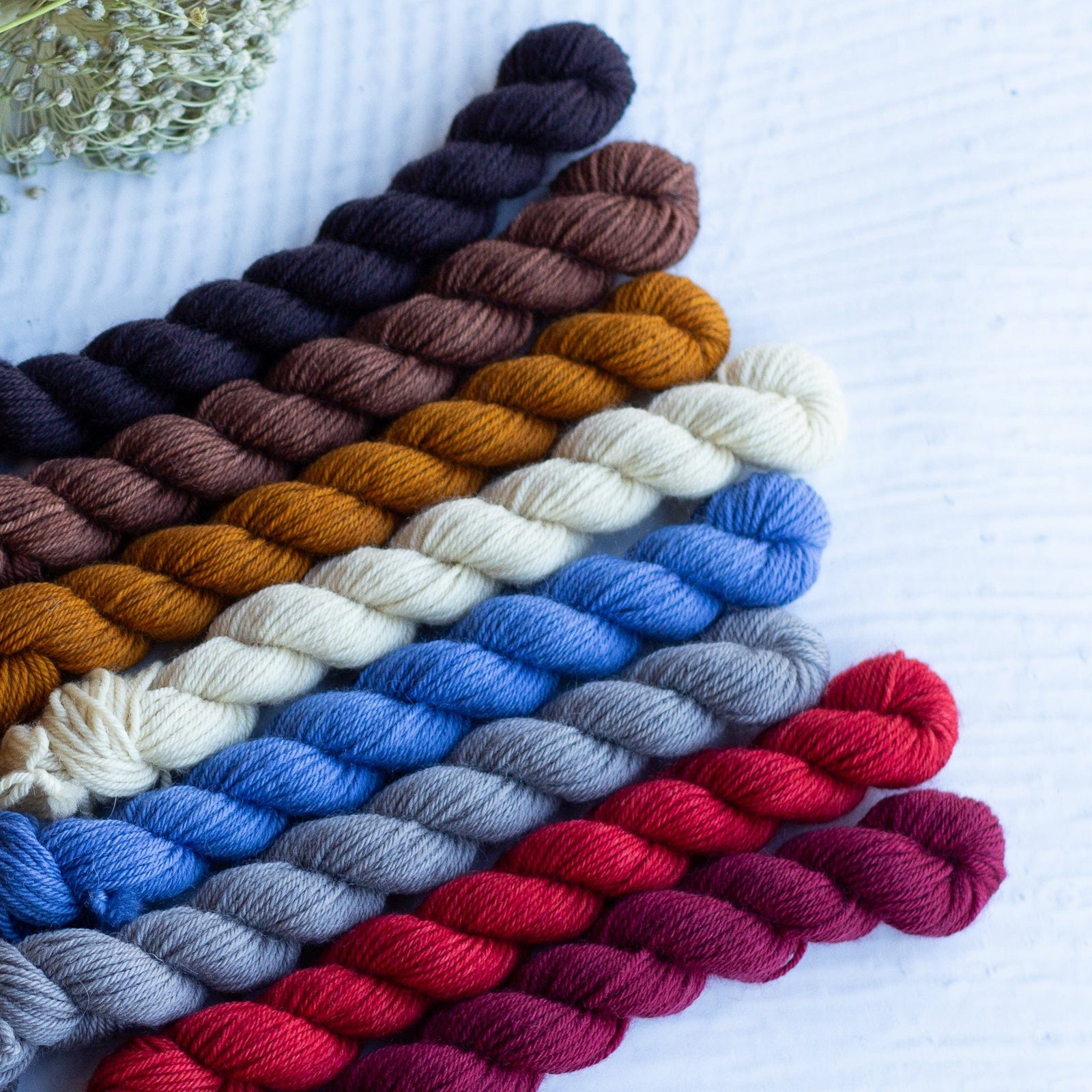 Louie & Lola Yarns BFL DK - Farm Mini Skein Set