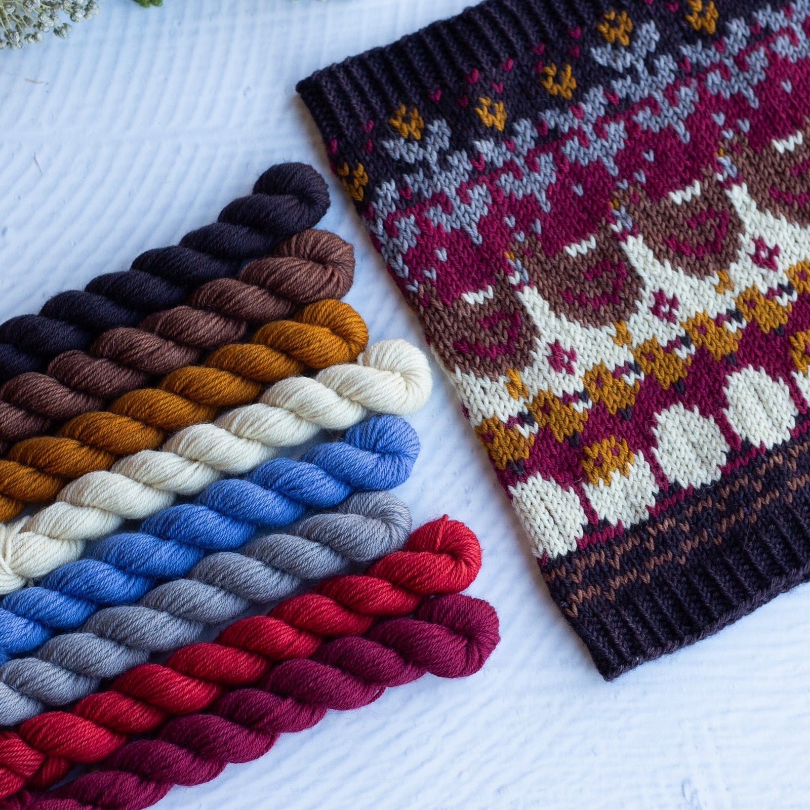 Louie & Lola Yarns BFL DK - Farm Mini Skein Set