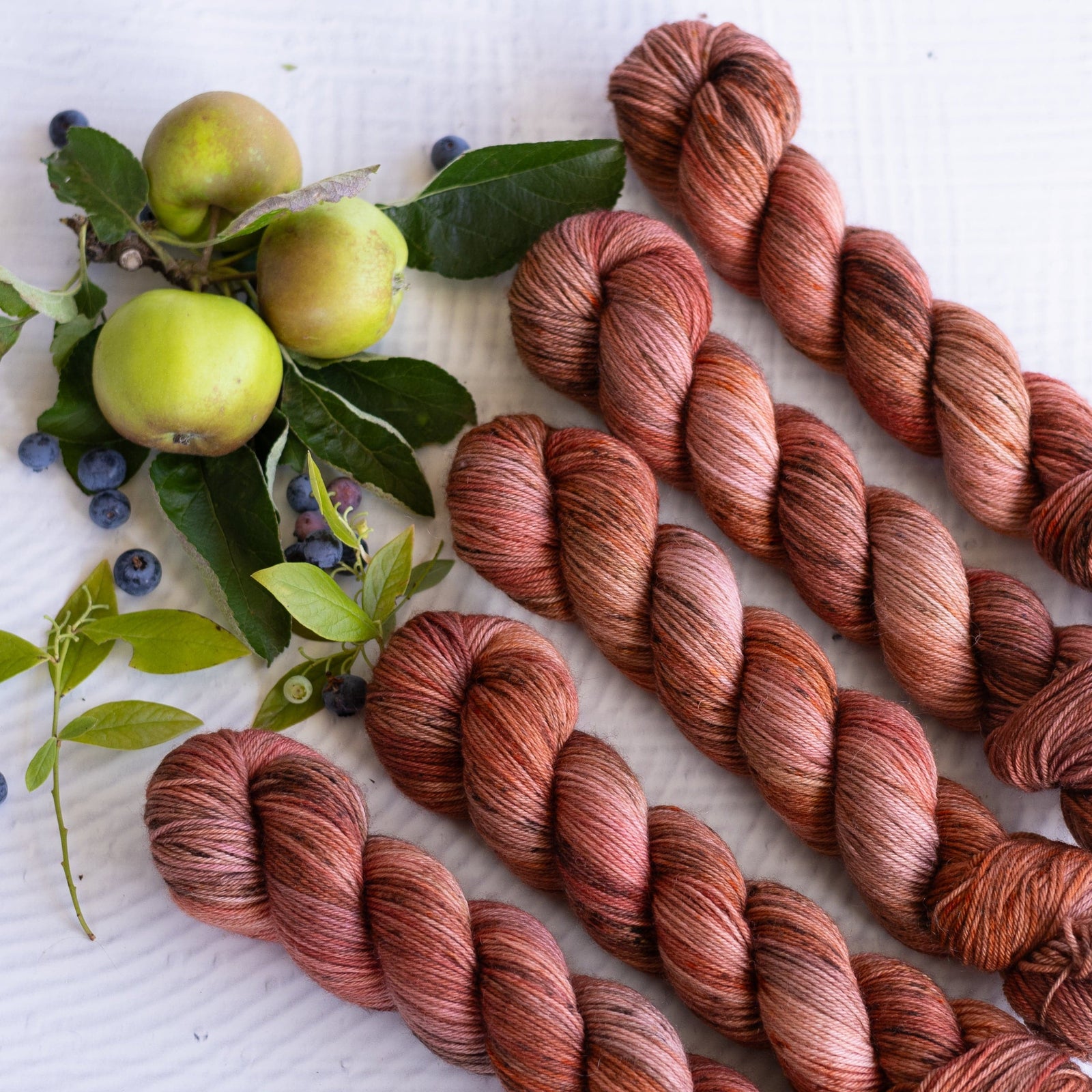 Louie & Lola Yarns BFL DK - Harvest Collection - Copperleaf