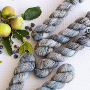 Louie & Lola Yarns BFL DK - Harvest Collection - Flint