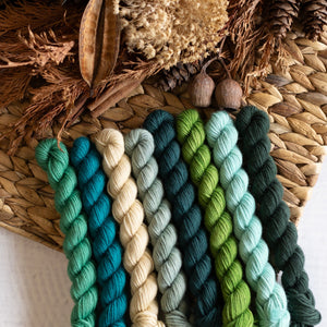 Louie & Lola Yarns BFL DK - Knitvent Mini Set 10