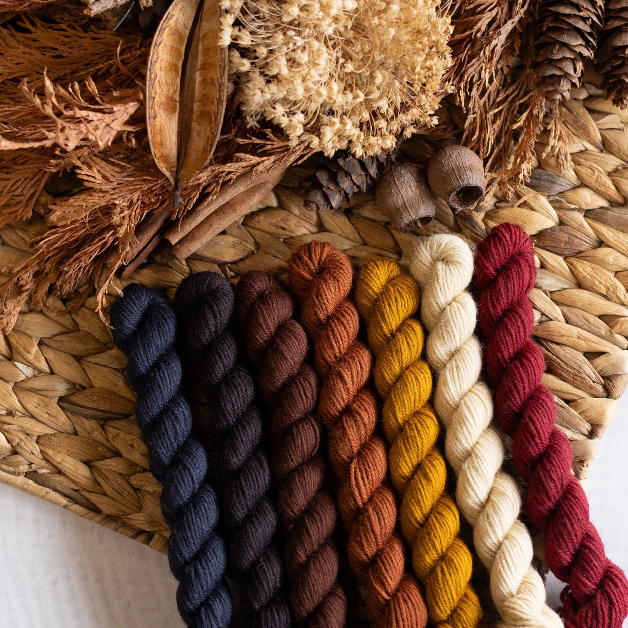 Louie & Lola Yarns BFL DK - Knitvent Mini Set 2