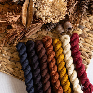 Louie & Lola Yarns BFL DK - Knitvent Mini Set 2