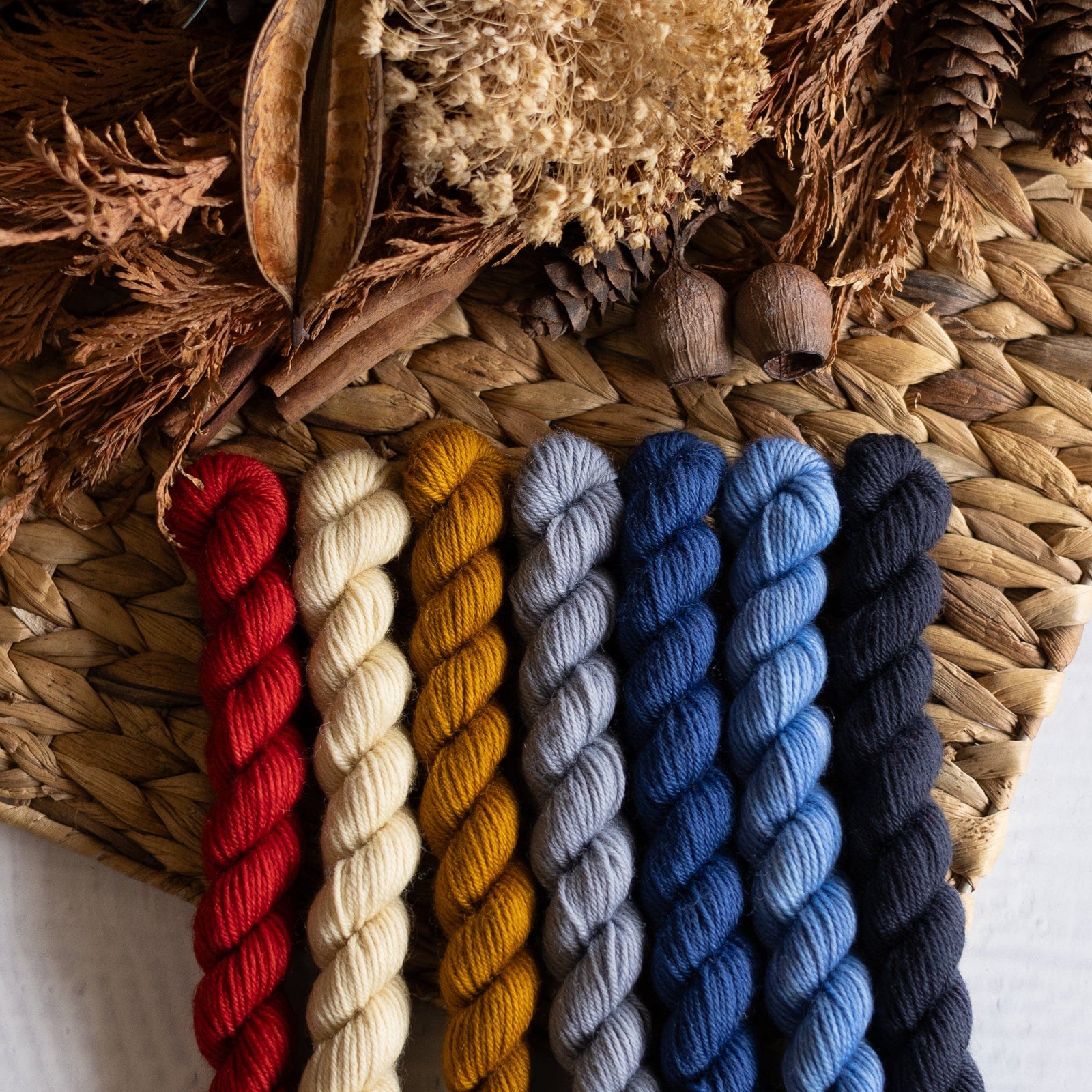 Louie & Lola Yarns BFL DK - Knitvent Mini Set 6