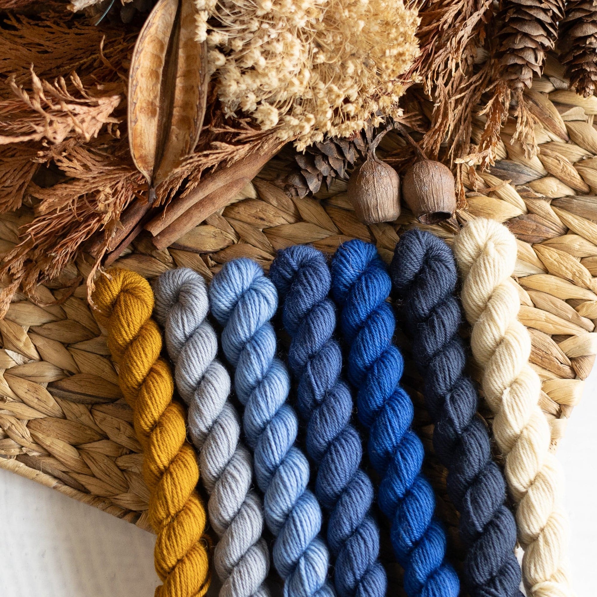 Louie & Lola Yarns BFL DK - Knitvent Mini Set 9