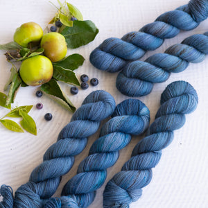 Louie & Lola Yarns BFL Nylon Fingering - Harvest Collection - Lucerne