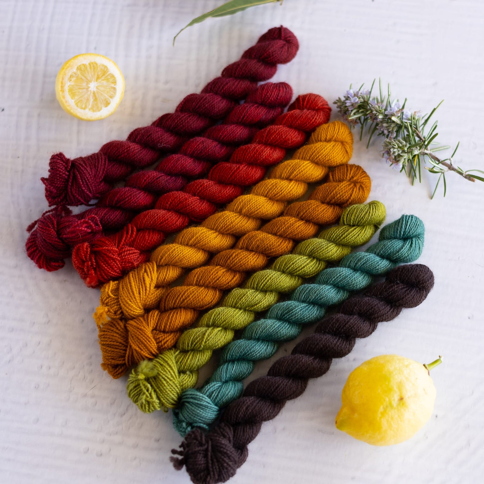Louie & Lola Yarns BFL Nylon Fingering - OOAK Mini Skein Set