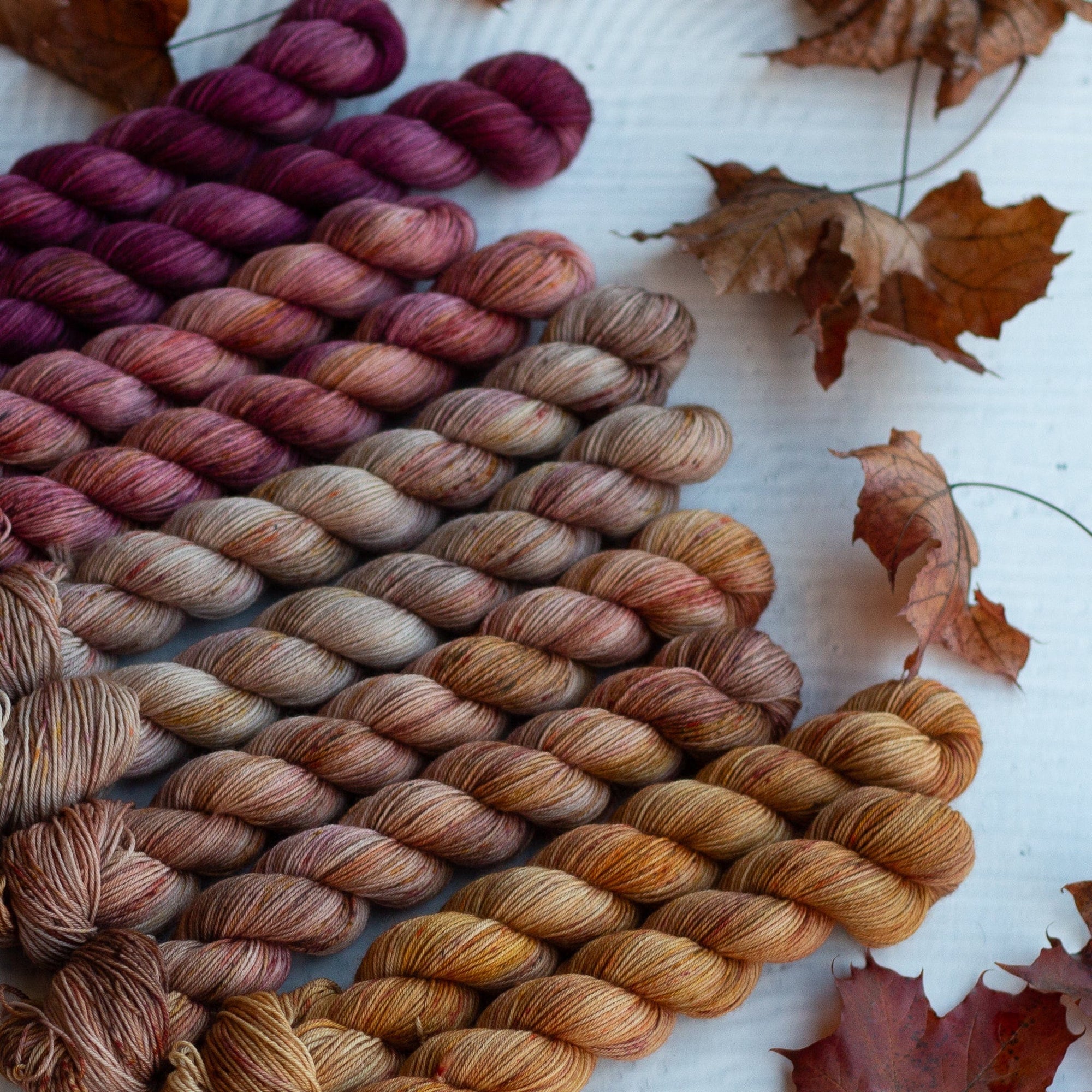 Louie & Lola Yarns Merino Fingering Half Skeins - 2025 Autumn Leaf Set