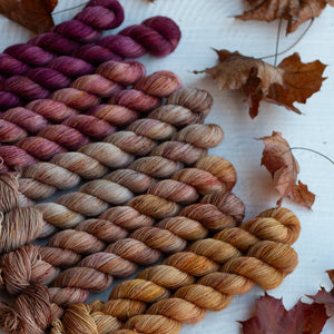 Louie & Lola Yarns Merino Fingering Half Skeins - 2025 Autumn Leaf Set