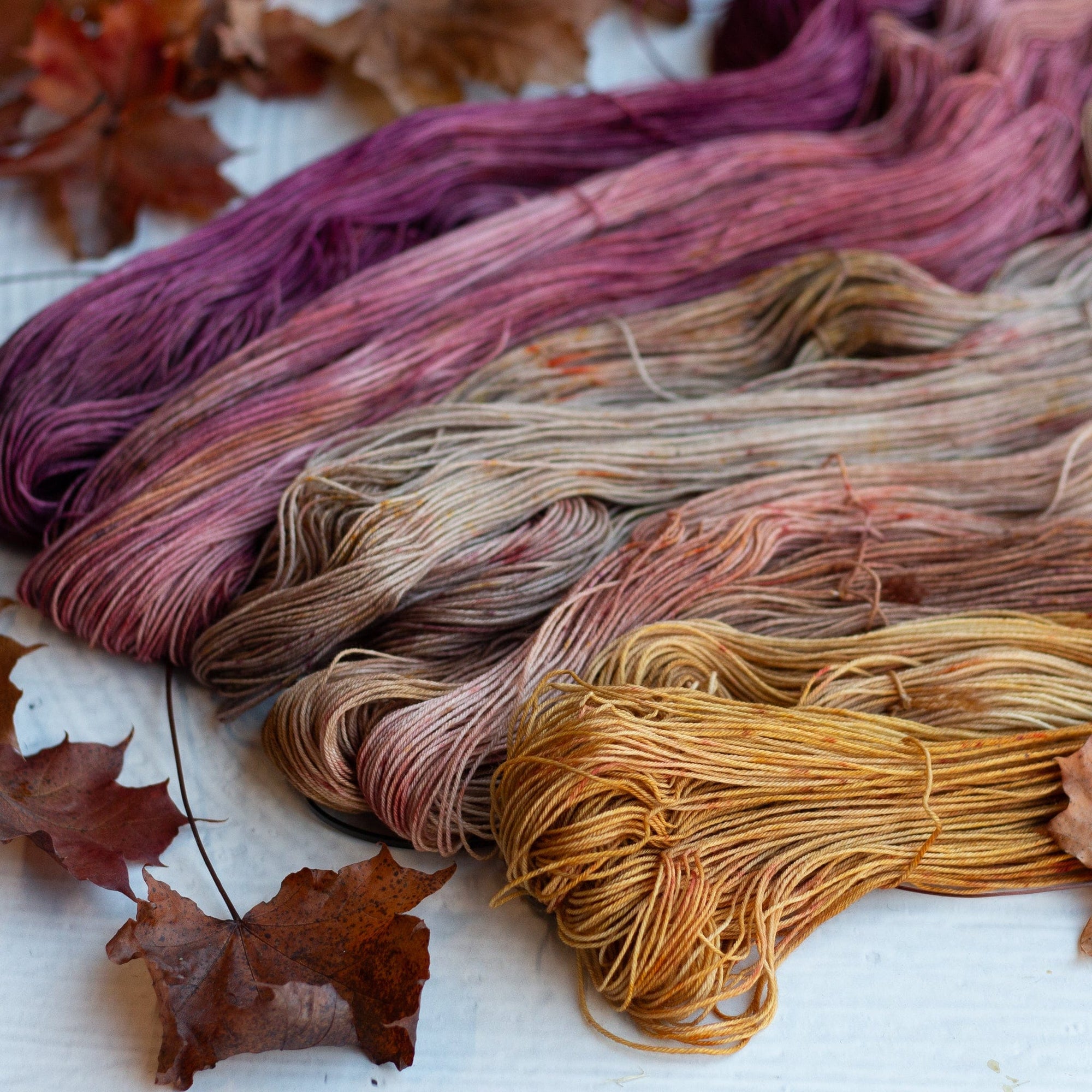 Louie & Lola Yarns Merino Fingering Half Skeins - 2025 Autumn Leaf Set