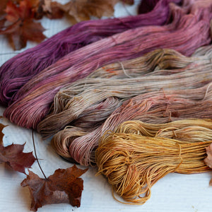 Louie & Lola Yarns Merino Fingering Half Skeins - 2025 Autumn Leaf Set