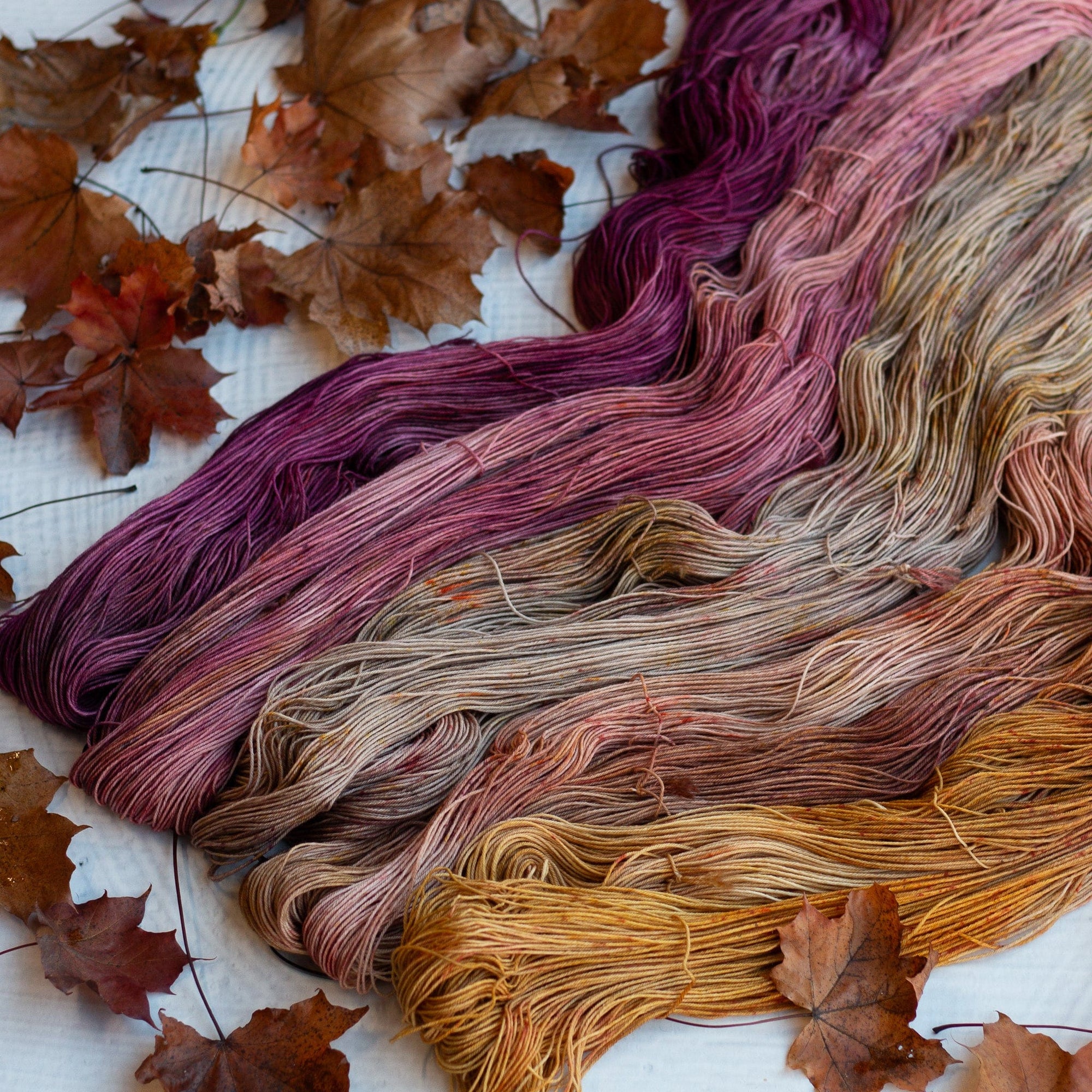 Louie & Lola Yarns Merino Fingering Half Skeins - 2025 Autumn Leaf Set