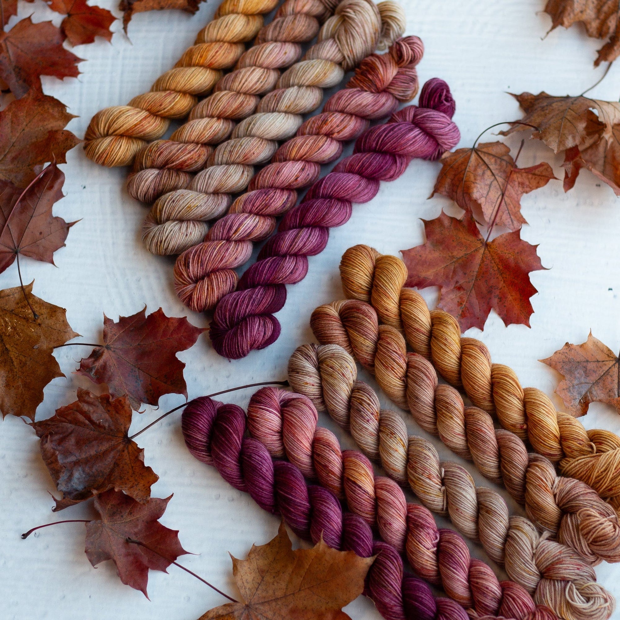 Louie & Lola Yarns Merino Fingering Half Skeins - 2025 Autumn Leaf Set