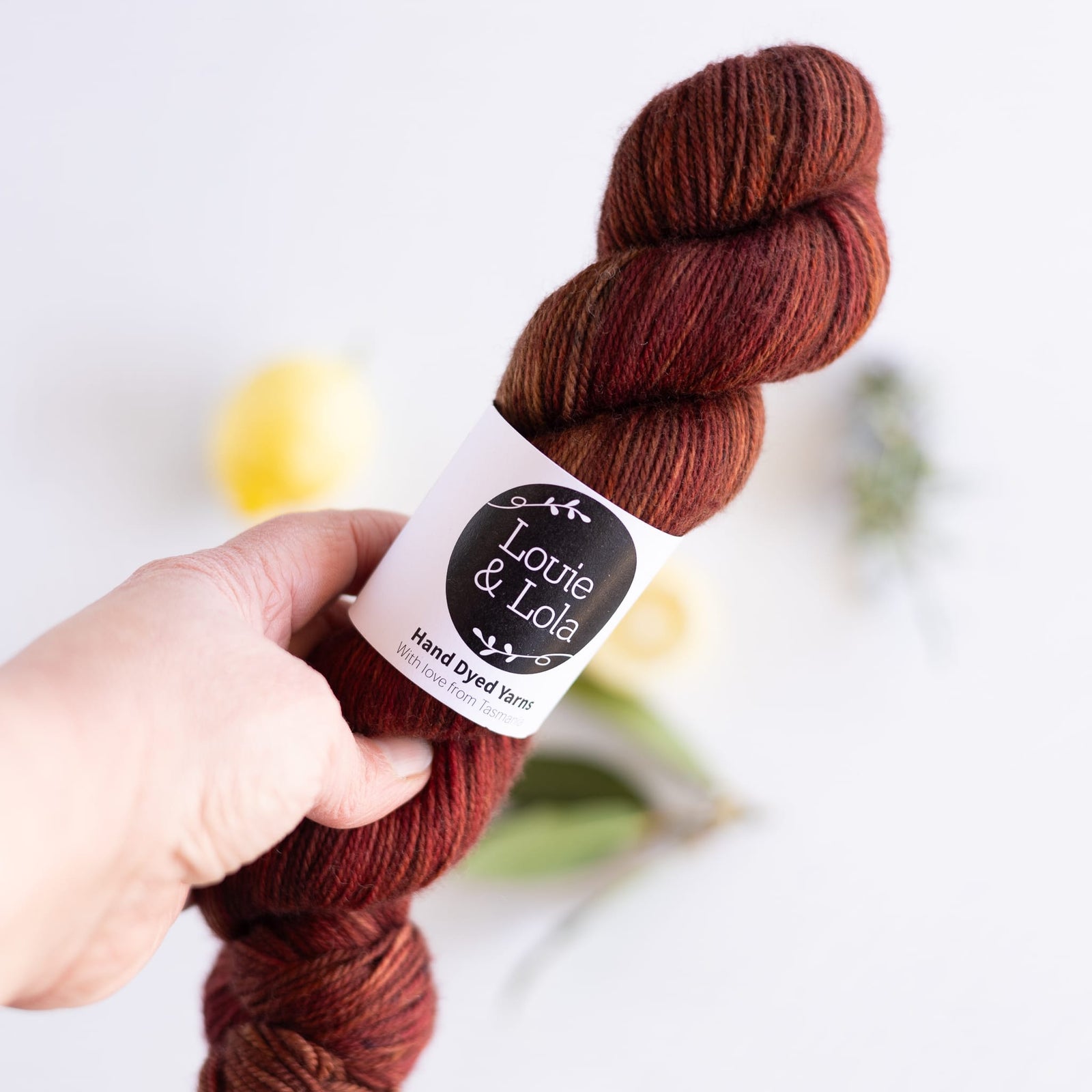 Louie & Lola Yarns Merino Nylon DK - OOAK Variegated Rusty Red Brown