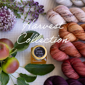 Louie & Lola Yarns Merino Nylon Sock - Harvest Collection - Ashwood