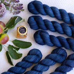 Louie & Lola Yarns Merino Nylon Sock - Harvest Collection - Stormcrop