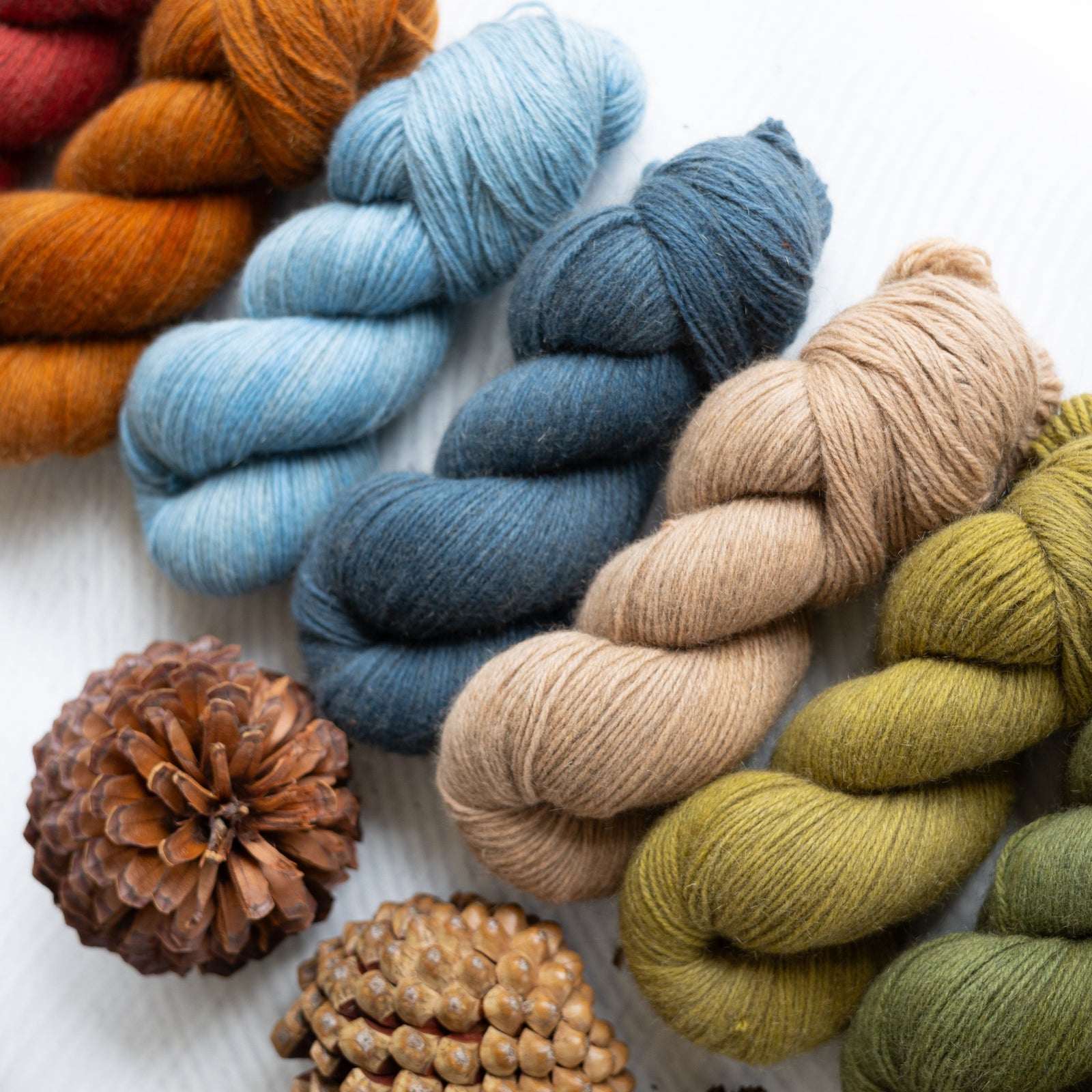 Louie & Lola Yarns Merino Possum Fingering - Tonals Collection - Barn Red