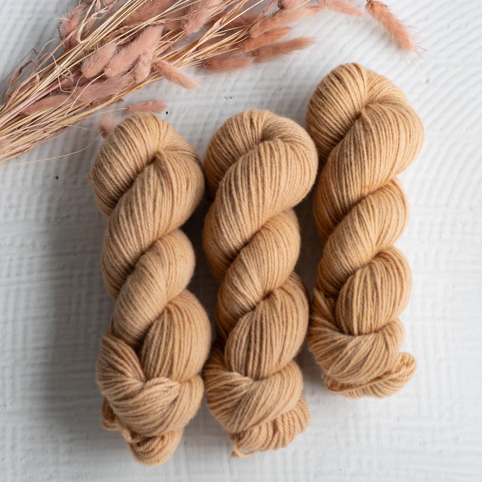 Louie & Lola Yarns Polwarth DK - Tonals Collection - Camel