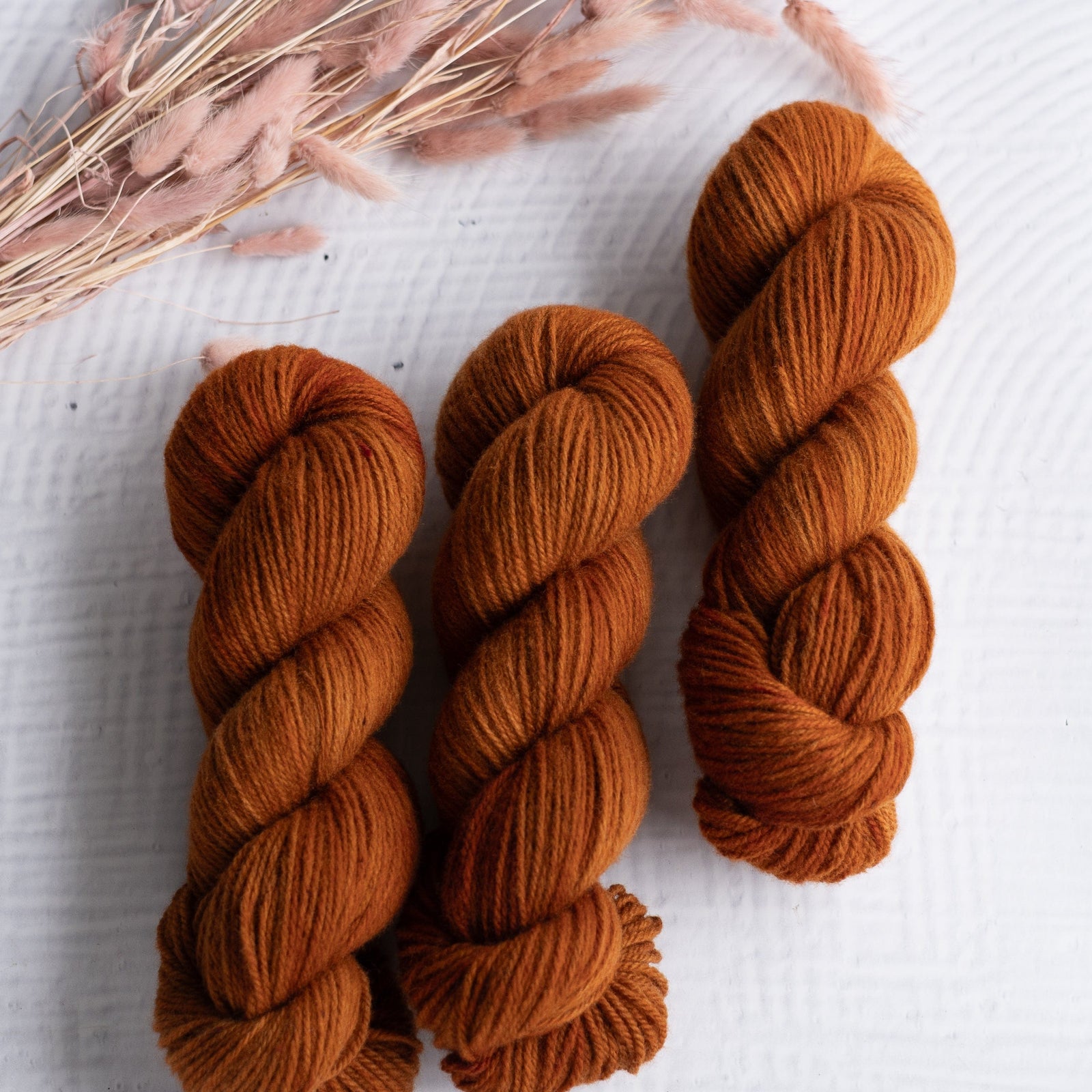 Louie & Lola Yarns Polwarth DK - Tonals Collection - Cider