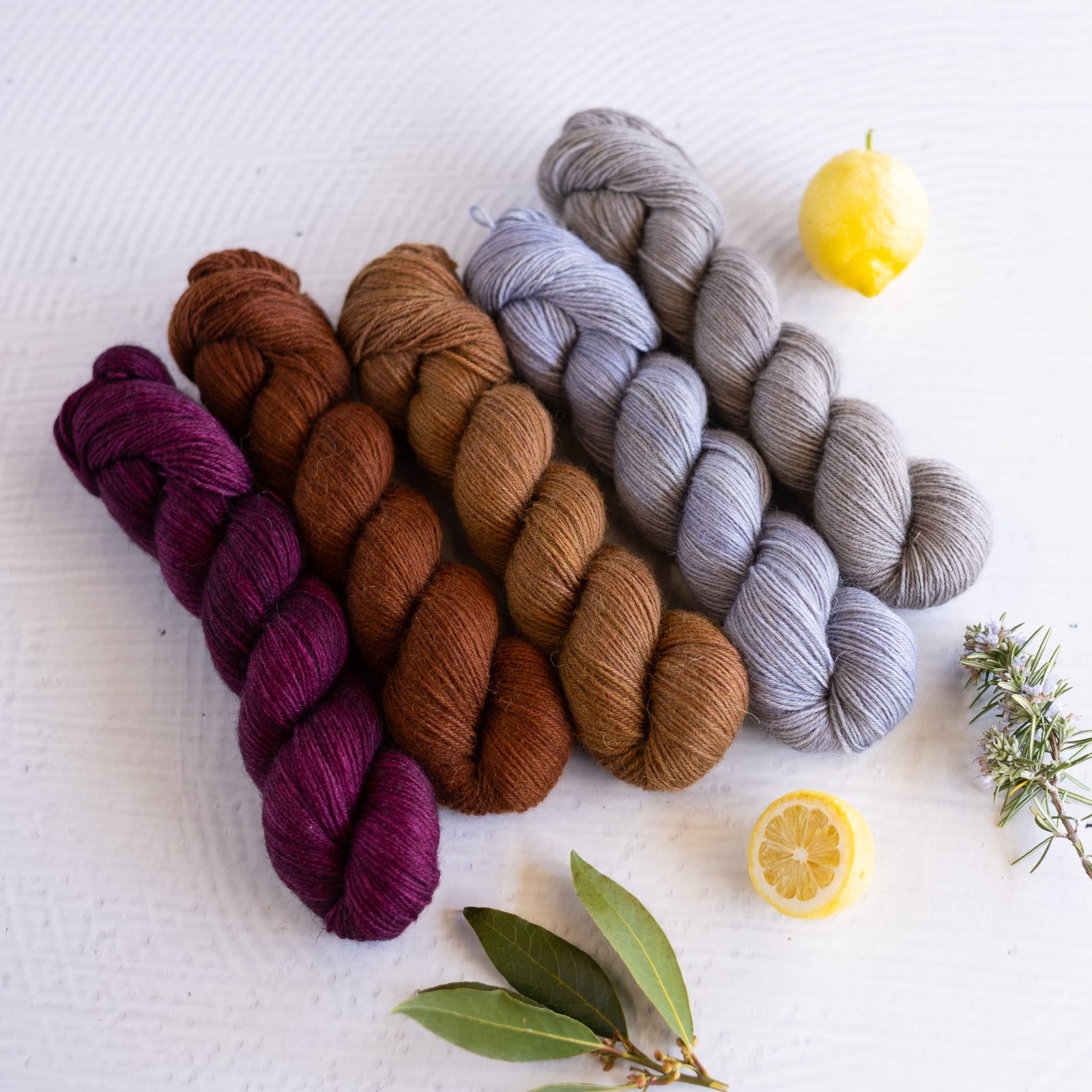 Louie & Lola Yarns Seafarer Sport - Five Skein Prototype Bundle