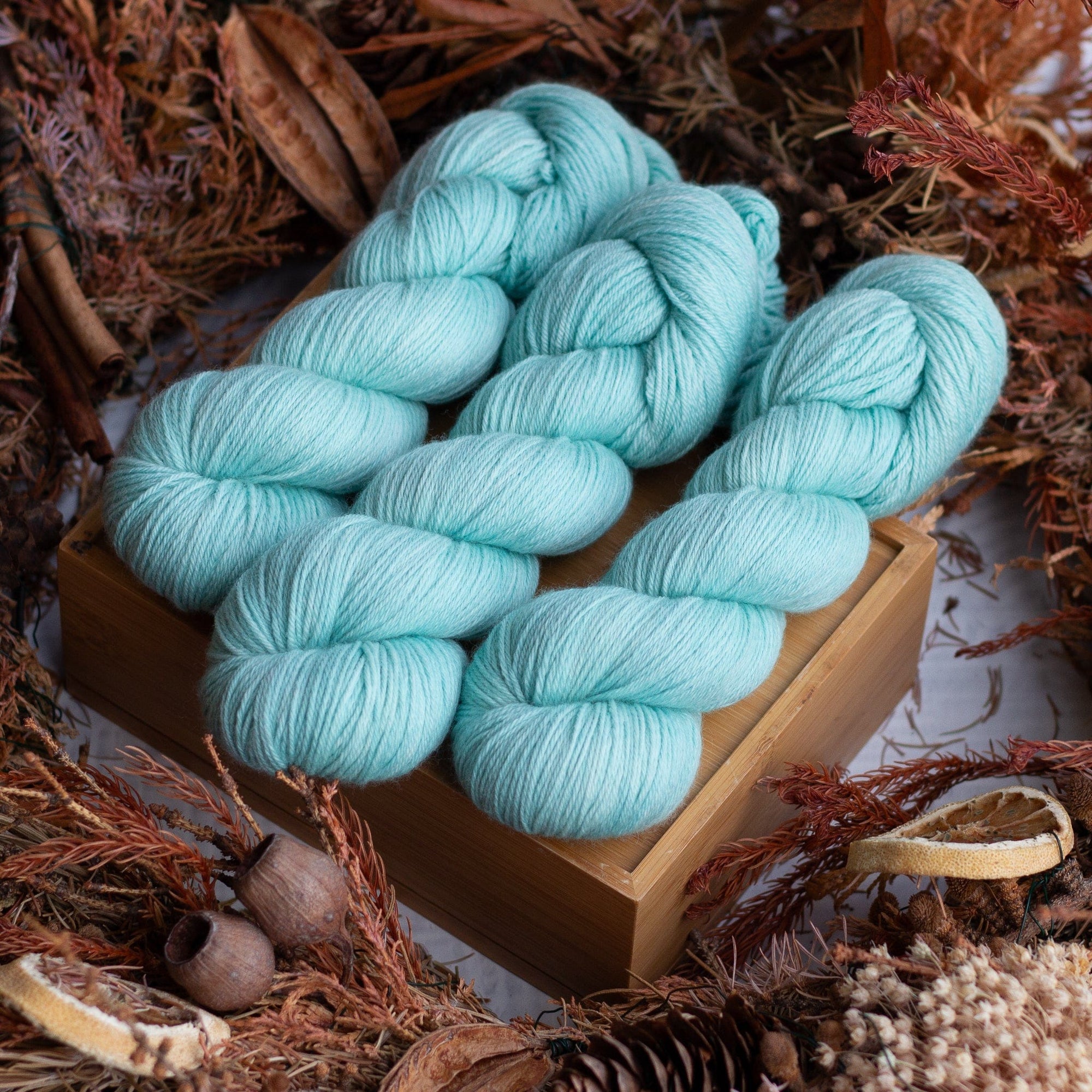 Louie & Lola Yarns SRS Merino Fingering - Tassie Collection - Friendlies Beach