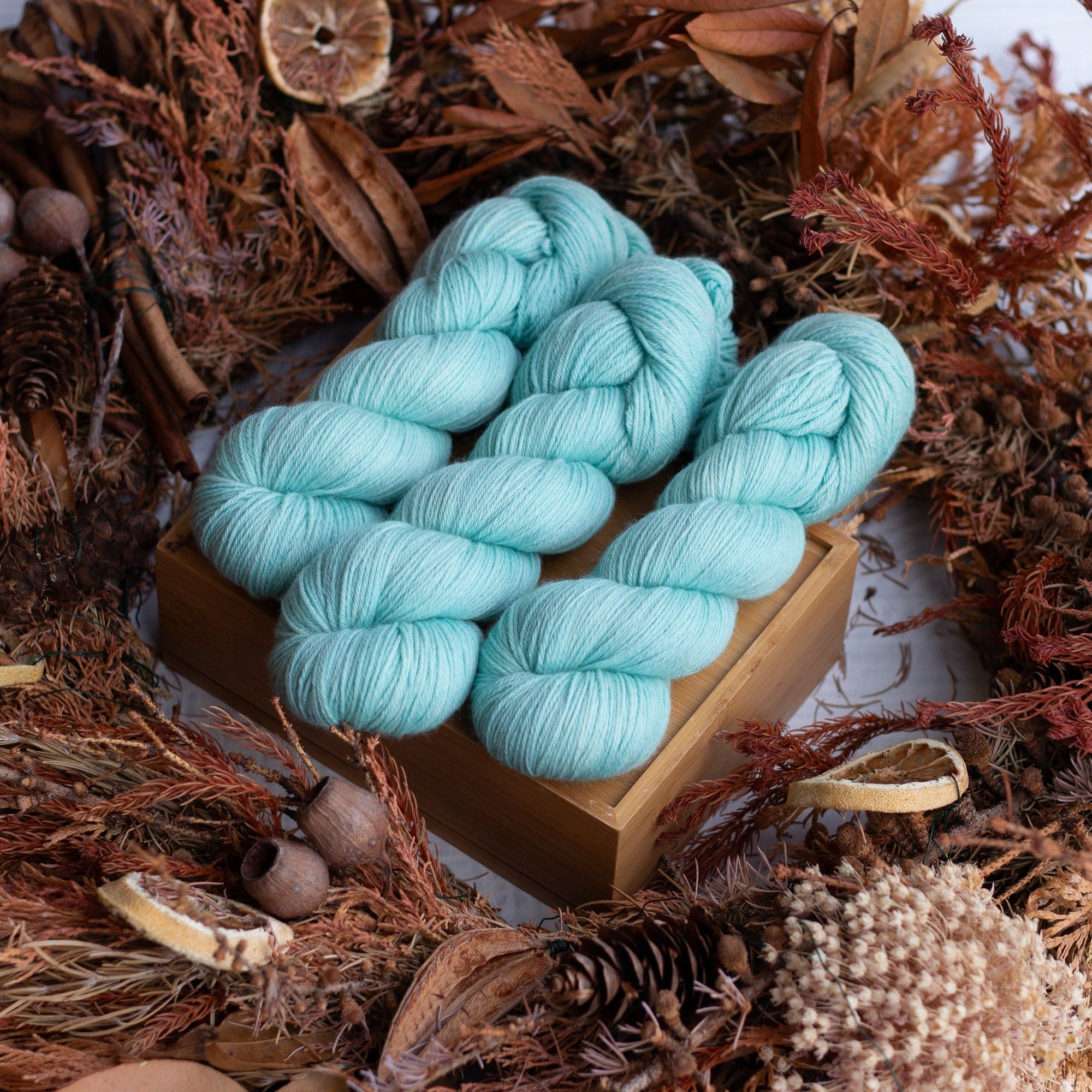 Louie & Lola Yarns SRS Merino Fingering - Tassie Collection - Friendlies Beach