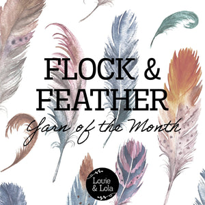 Louie & Lola Yarns Yarn Club Feather & Flock Yarn of the Month - January 2025 - Silver Blue Barnevelder