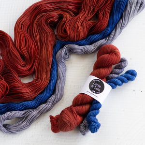 Louie & Lola Yarns Yarn Club Flock & Feather Yarn of the Month - February 2026 - Rhode Island Red