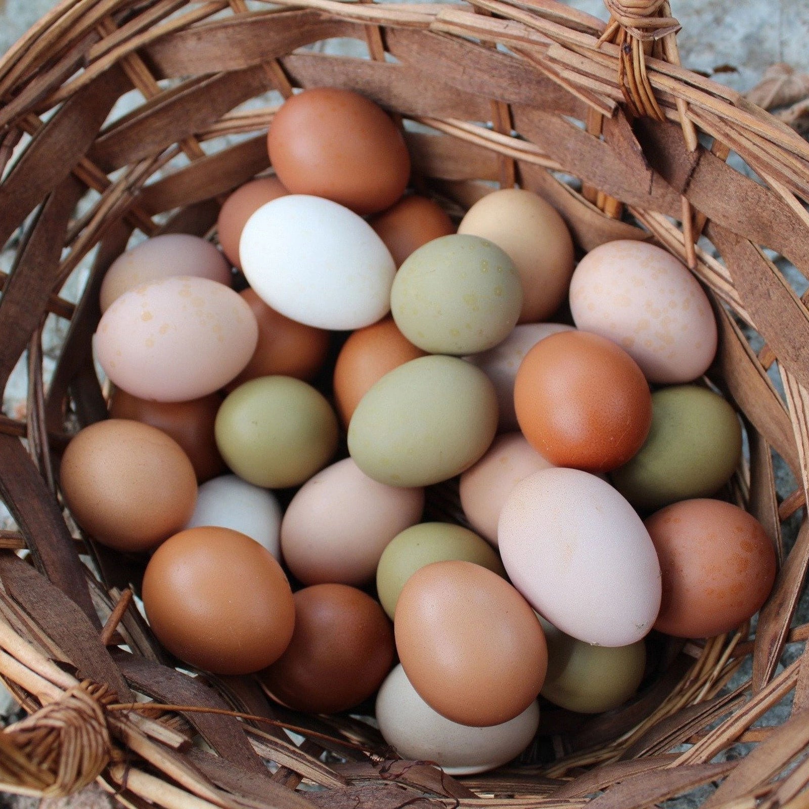 Louie & Lola Yarns Yarn Club Flock & Feather Yarn of the Month - March 2026 - An Easter Surprise